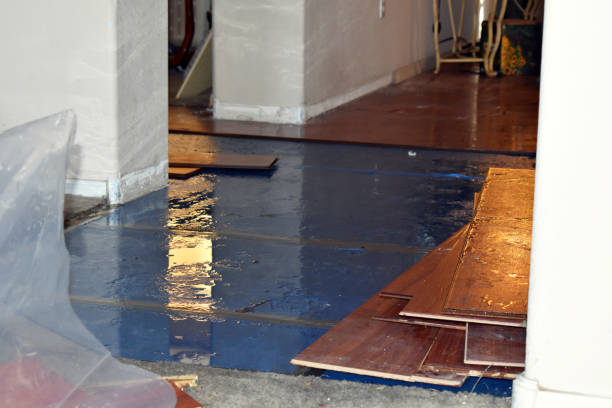 Professional Water Damage Restoration technician working in Williamston, MI